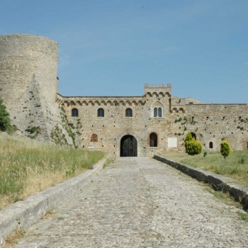 kandea_bovino